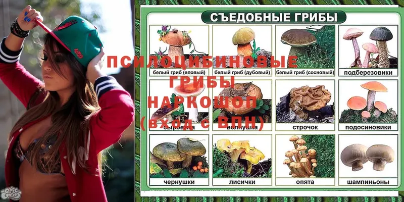 Галлюциногенные грибы ЛСД  ссылка на мегу   Дивногорск  где продают наркотики 